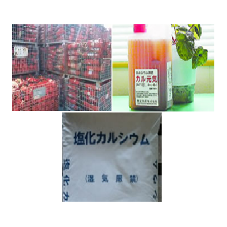 キャプチャ2.PNG