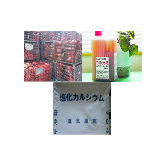 キャプチャ2.PNG