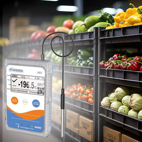超低温対応GPS搭載温度監視ロガー Frigga V55Plus