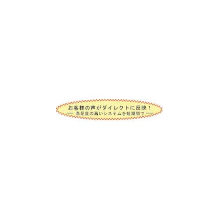 1_systemu-kaihatu.jpg