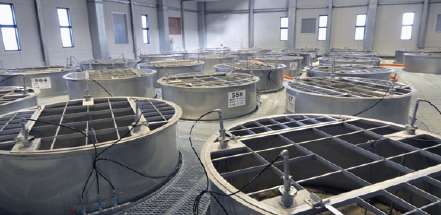 グルンドフォス　中古　ポンプ　 中古 GRUNDFOS SPKN2-8⁄8 AB-W-I-BQQV クーラントポンプ⁄ 71B2-14F85-B