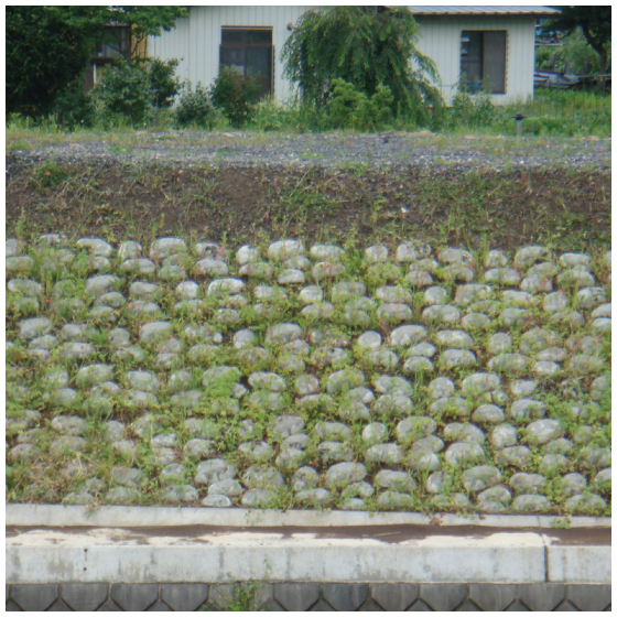 p-stone-m.jpg