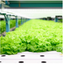 [Case Study] Plant Factory IoT System
