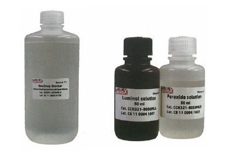 『ウェスタンブロッティング試薬』※サンプル進呈