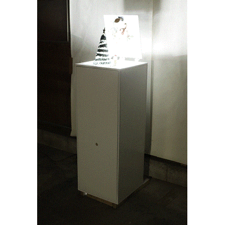 _MG_5301.gif