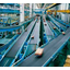 Conveyor Belt "Transilon Fluororesin Belt" / G-Cleaning