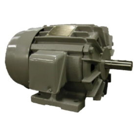 Induction motor (suitable for use i...