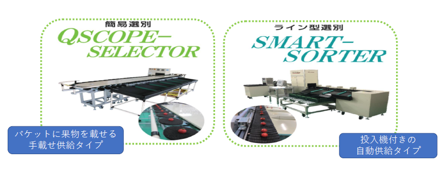 青果物用簡易選別装置