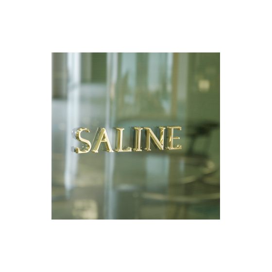 logo_seihin_株式会社研創_ABS樹脂『輝弥』.png