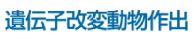 受託業務『遺伝子改変動物作出』