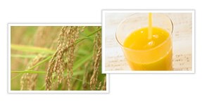 重金属検査サービス