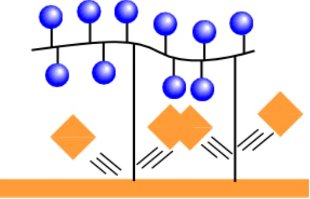 MPCポリマー技術紹介【コーティング素材、技術をご提案！】