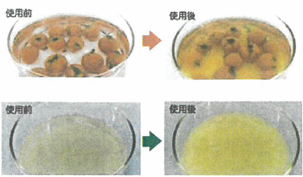 除菌剤『BA-CLEAN Vege（ビーエークリーン ベジ）』