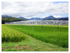 営農型太陽光発電システム『ソーラーシェアリング』