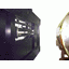 Roll-to-roll exposure device for film