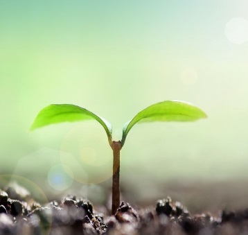 【納入事例】肥料製造工程で残渣をろ過したい