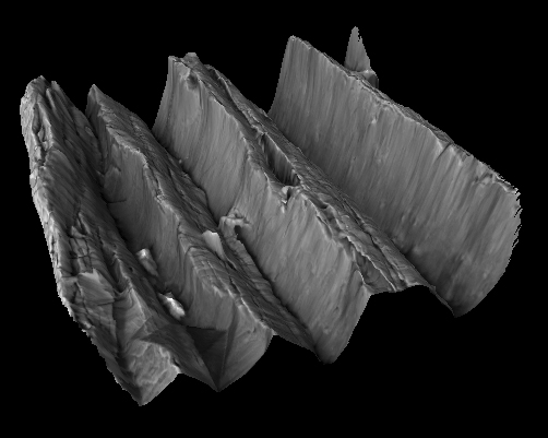 走査型電子顕微鏡用3次元ビュー&解析ソフトウエア『Mex』