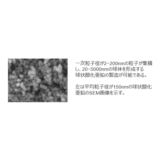 T19-905_1.png