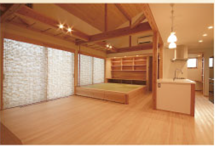 土壁材『シャイニング大地』