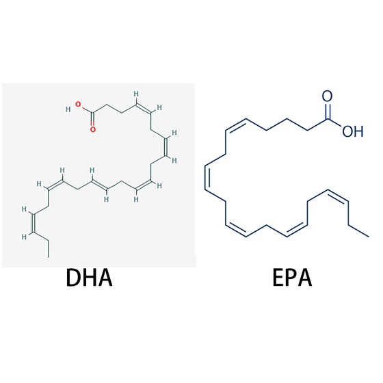 Docosahexaenoic Acid (DHA) 拷贝.jpg