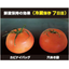 【Comparison Example】 Mold-Free Bag VS Holey Bag (Tomatoes / Vegetables)