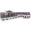Counting, accumulation, band binding, four-sided seal packaging line "MS, MG, B"