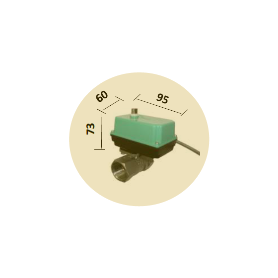 image_01.png