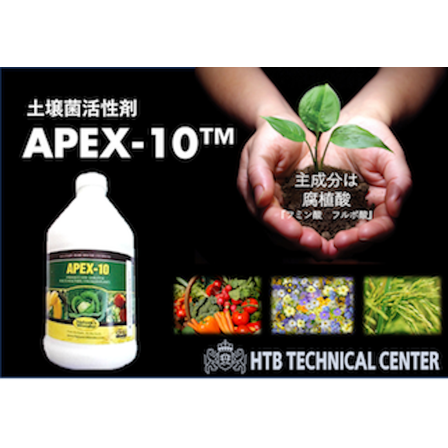 APEX-10メイン.png