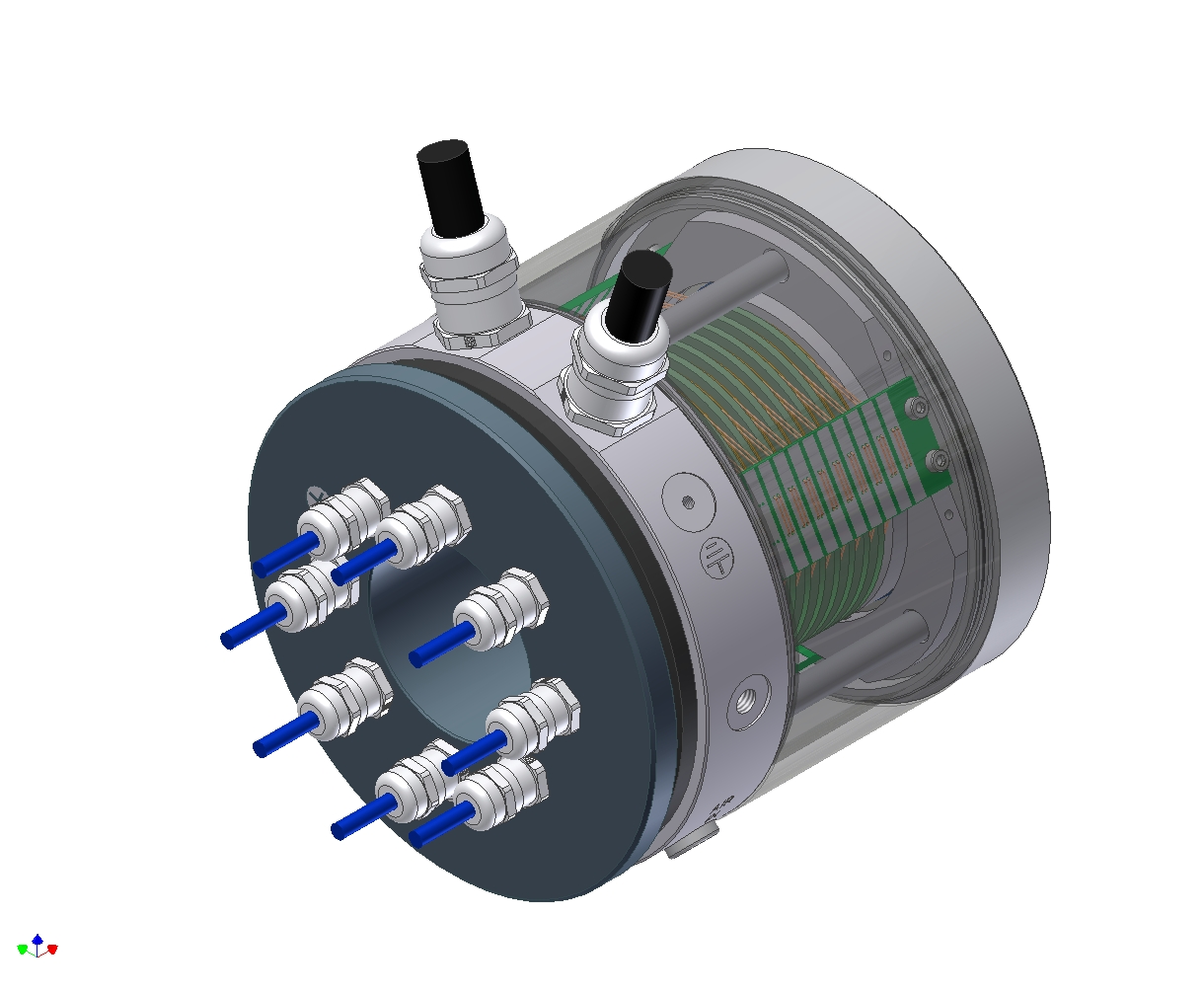 e.m. 豚リング メスマダコの巻きつきリング(white) | EmiriA online shop