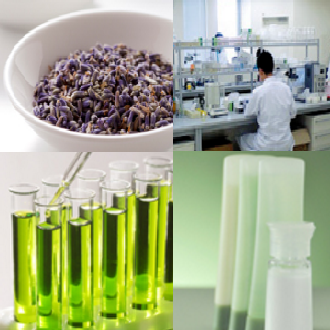 株式会社ピカソ美化学研究所　事業紹介