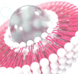 計測システム『DDSモニタリング』