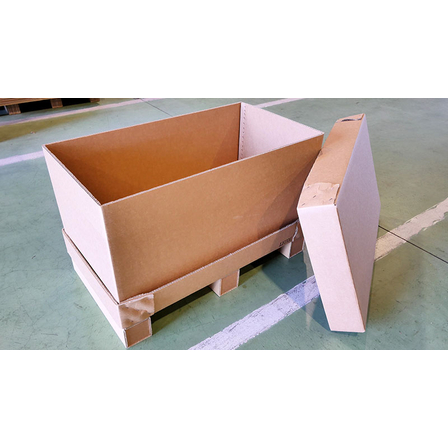 cardboard-box01.jpg