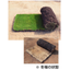 Zoysia Grass "Kourai Roll Turf"