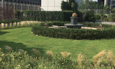 GR薄層緑化システム