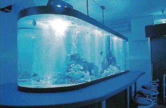 AQUA INTERIORシリーズ　熱帯魚水槽ほか