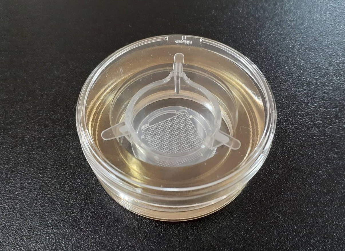 細胞塊スフェロイド三次元培養プレートTASCLワンディッシュ