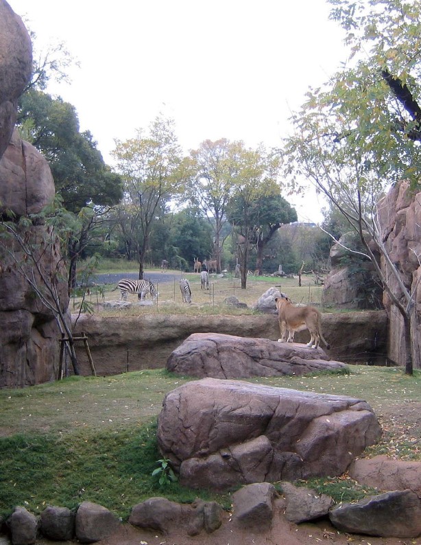 造形制作サービス