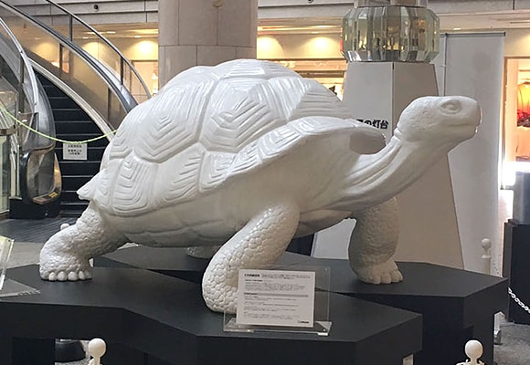 【製作事例】ガラパゴスゾウガメ