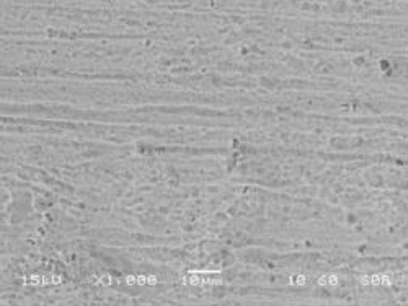 【導入事例】表面処理『ウェルマイト』