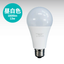 Dustproof and waterproof performance IP65 LED bulb [FAW13-N] Daylight white