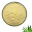 Aloe extract powder, a high-purity health and beauty ingredient derived from aloe vera.
