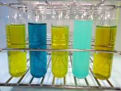 畜産分野・検査 「牛/抗体検査」