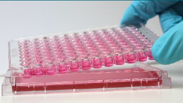 細胞プレート『TransFlex』