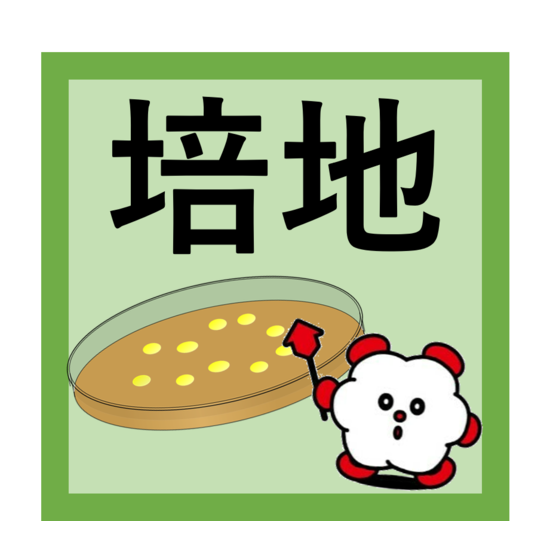 『クロモアガーマスタイティス GP/GN』