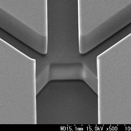 PDMS製マイクロ流路チップ