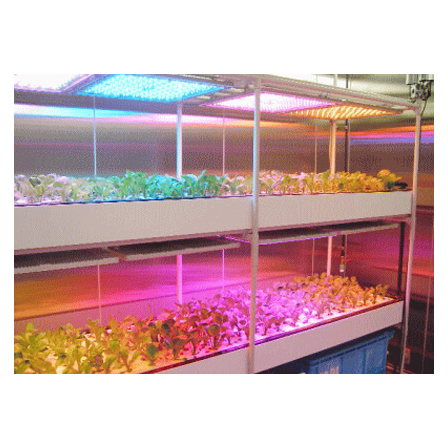 agri_case_osakauniv_05_c.jpg