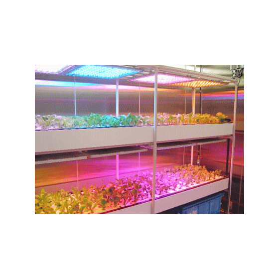 agri_case_osakauniv_05_c.jpg