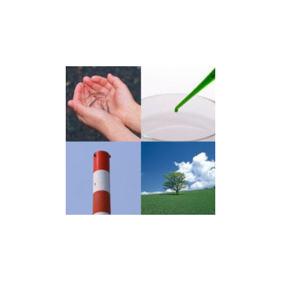 image_01.png
