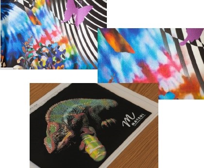 株式会社松井色素化学工業所　会社案内