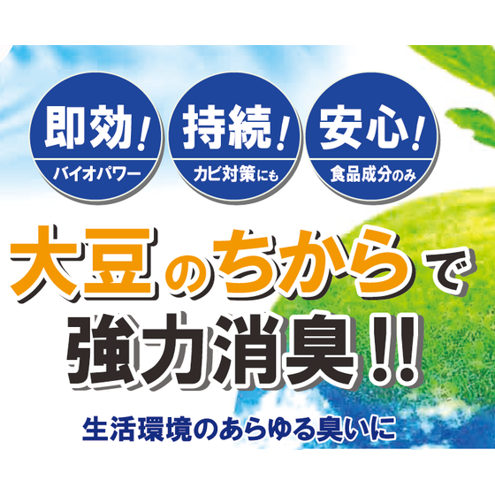 キャプチャ.PNG